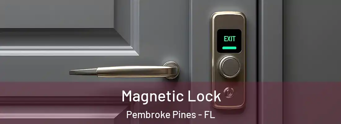  Magnetic Lock Pembroke Pines - FL